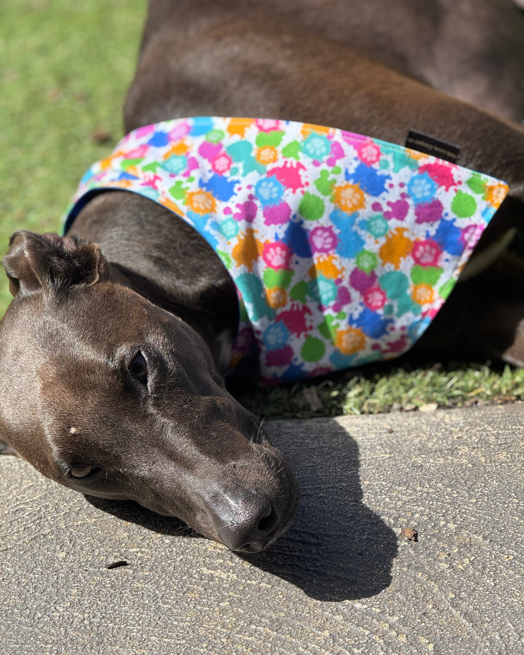 Pupcasso Artist Bandana