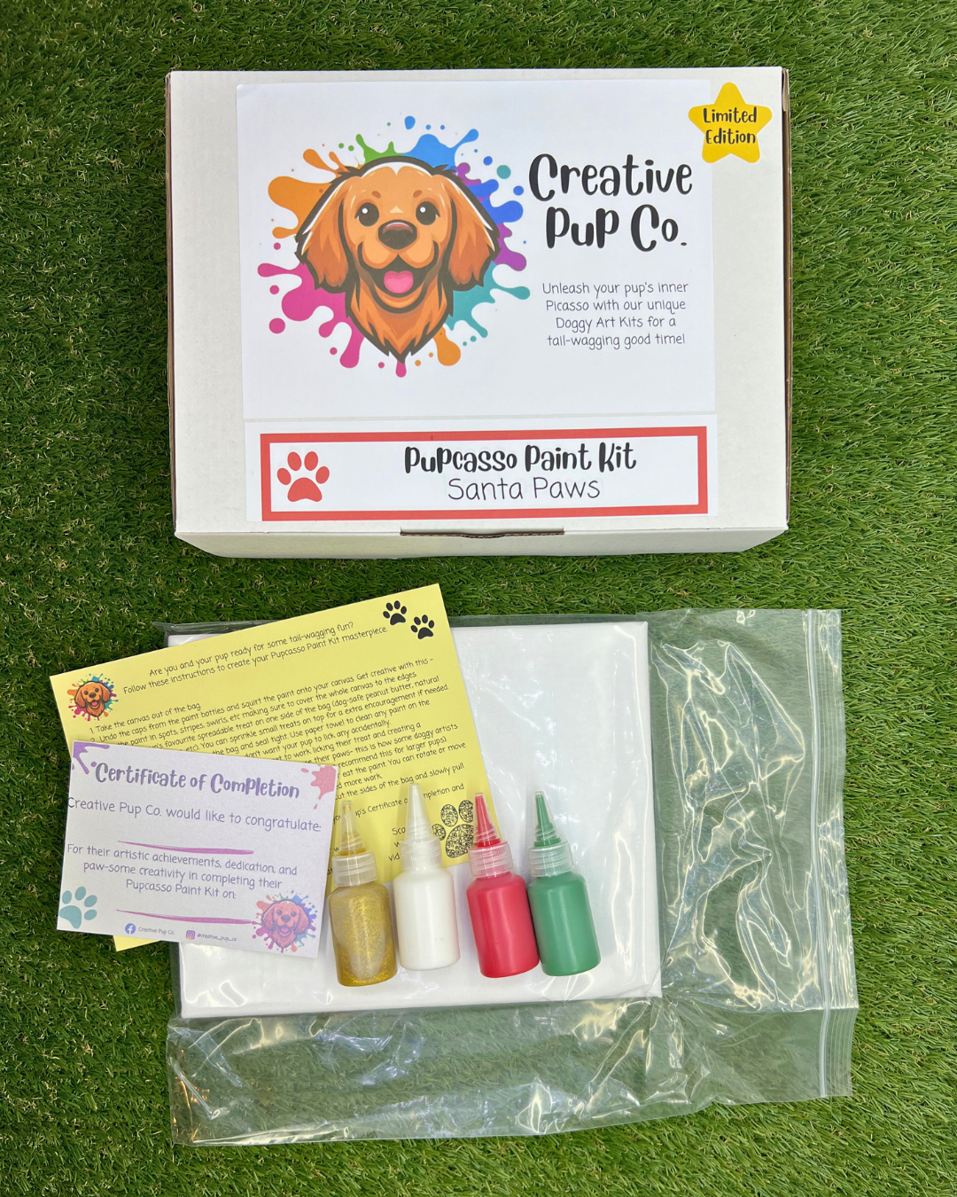 *Limited Edition* Santa Paws Pupcasso Paint Kit