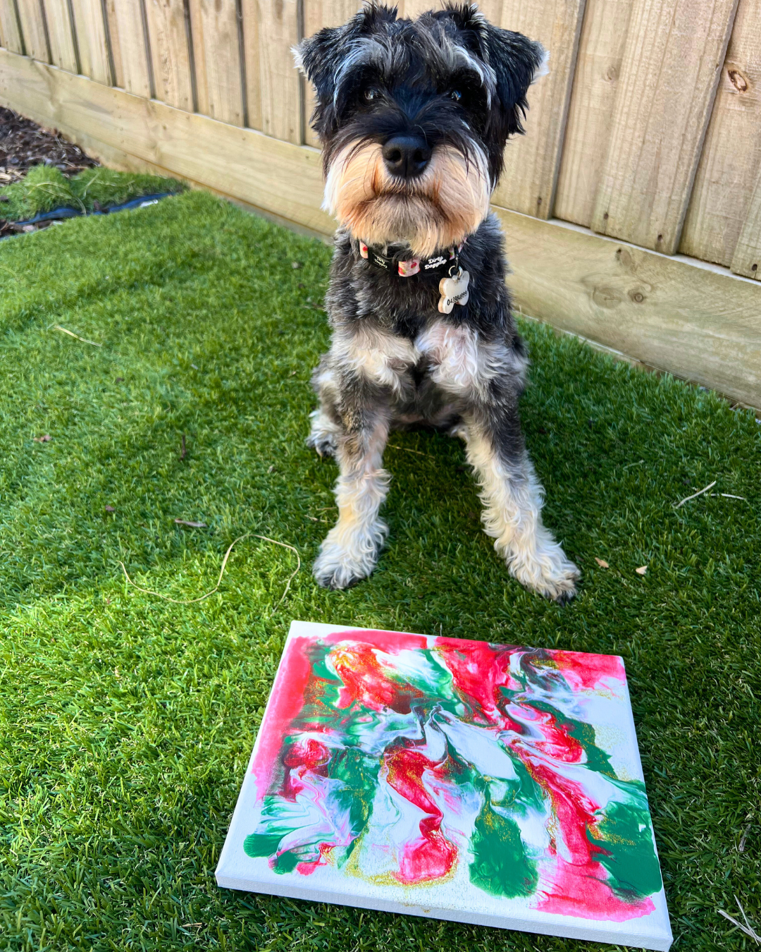 *Limited Edition* Santa Paws Pupcasso Paint Kit
