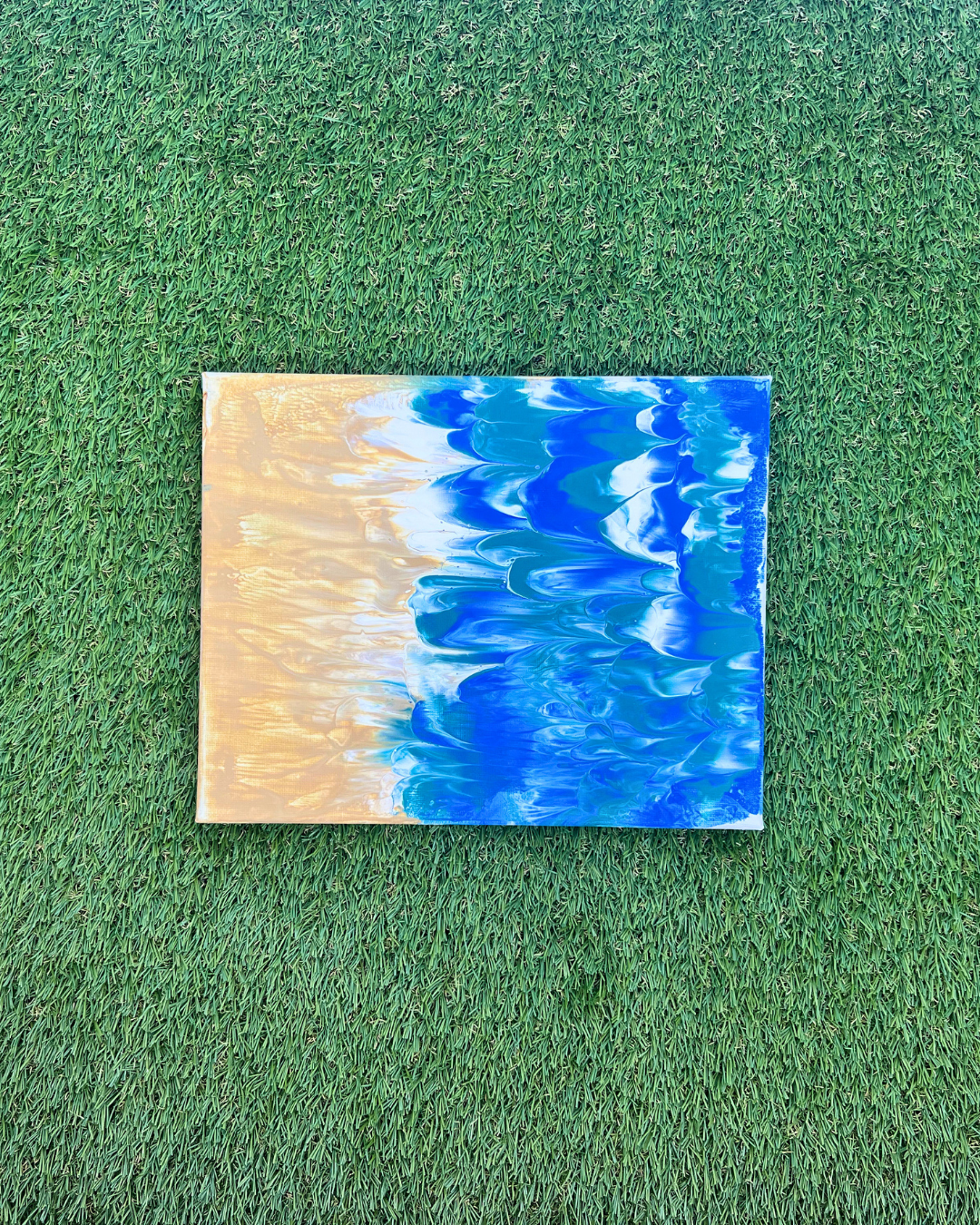 Swim at the Beach Pupcasso Paint Kit