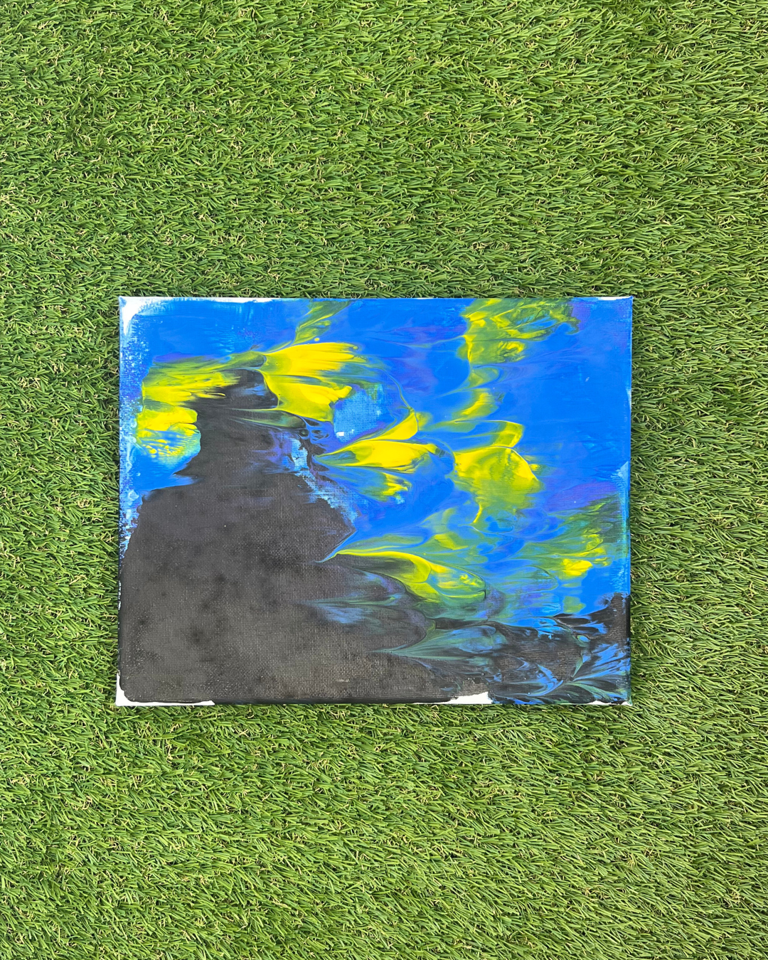 Starry Night Pupcasso Paint Kit