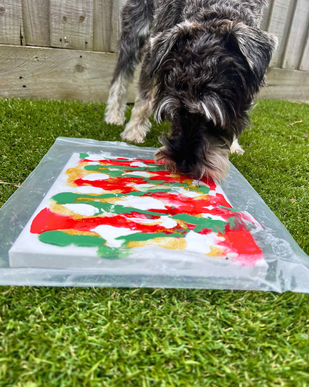 *Limited Edition* Santa Paws Pupcasso Paint Kit