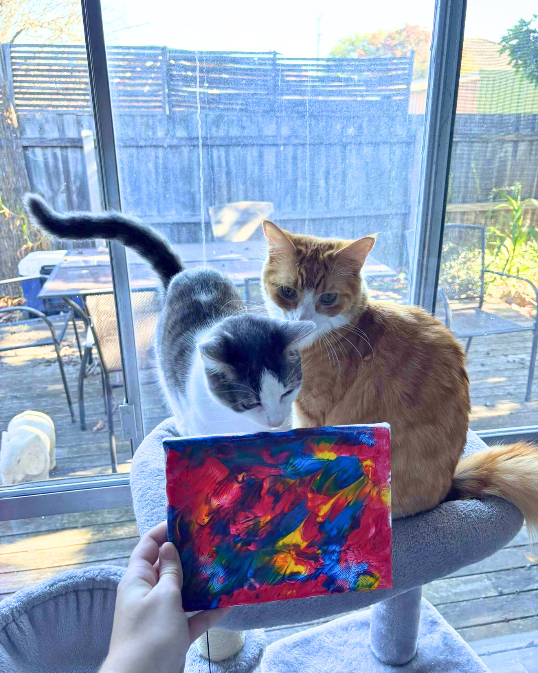 Paw-some Primary Palette Pupcasso Paint Kit