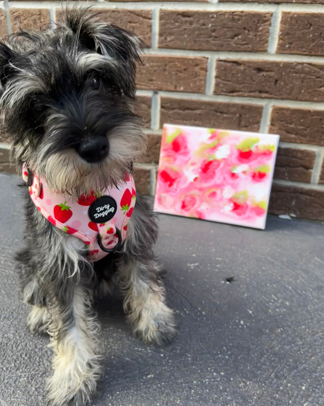 Strawberry Fields Pupcasso Paint Kit