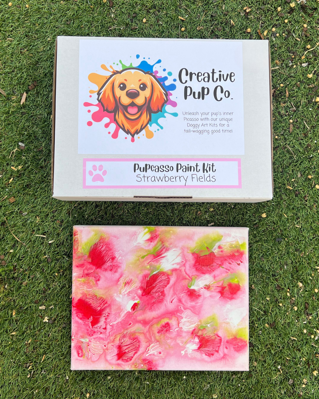 Strawberry Fields Pupcasso Paint Kit