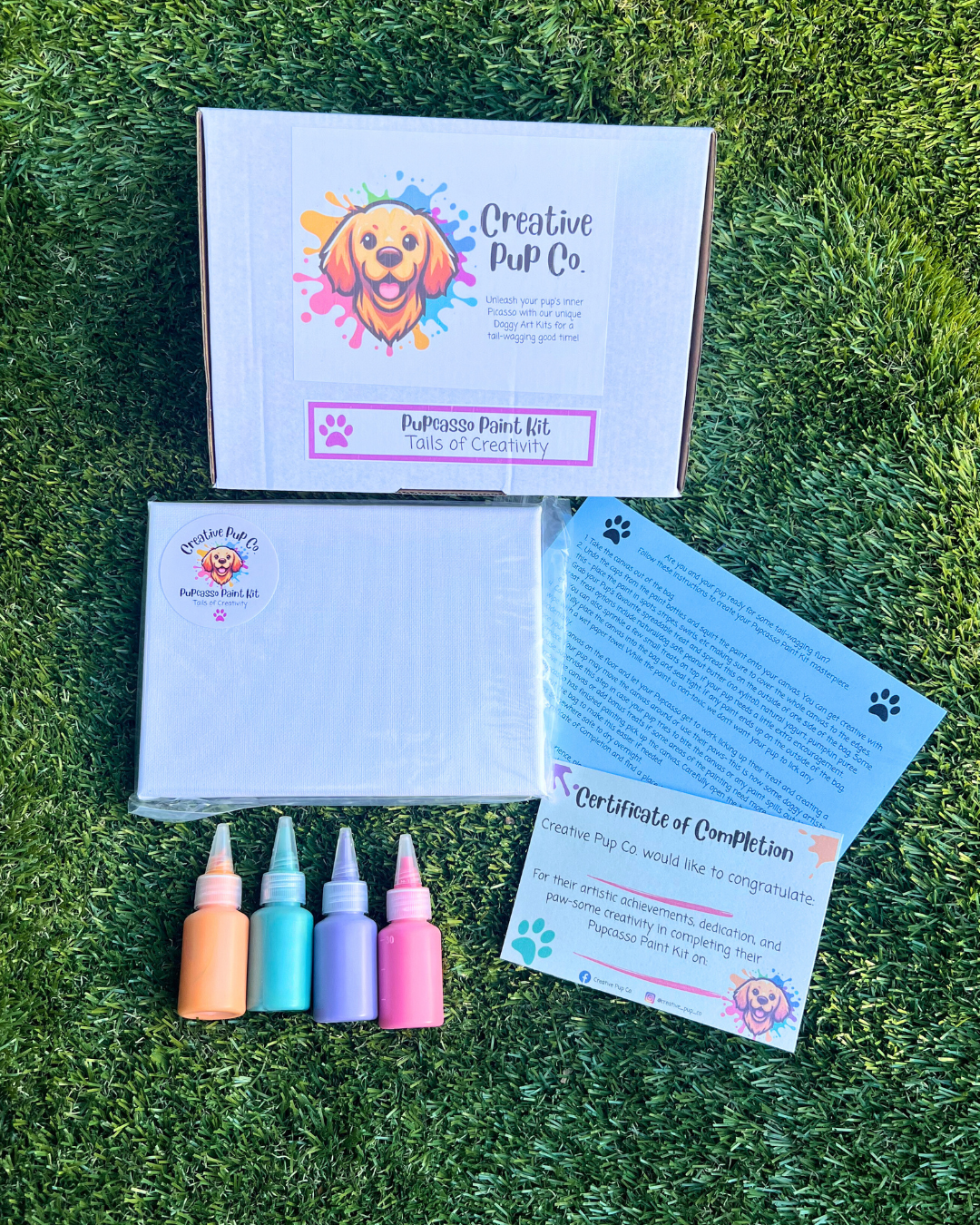 Tails of Creativity Pupcasso Paint Kit