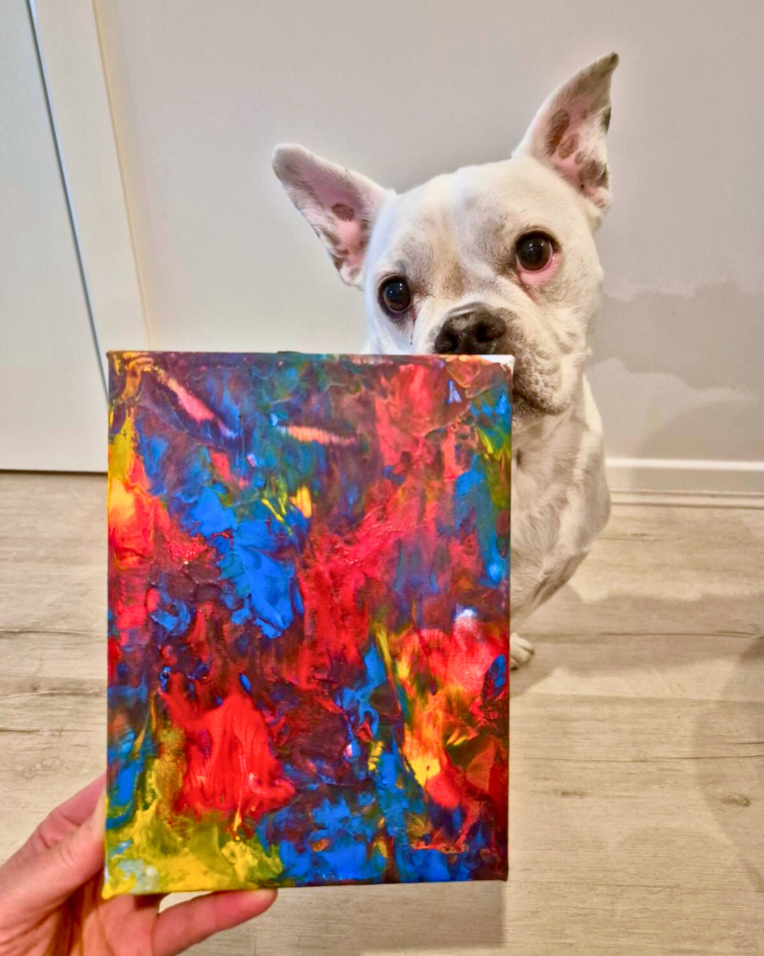 Paw-some Primary Palette Pupcasso Paint Kit