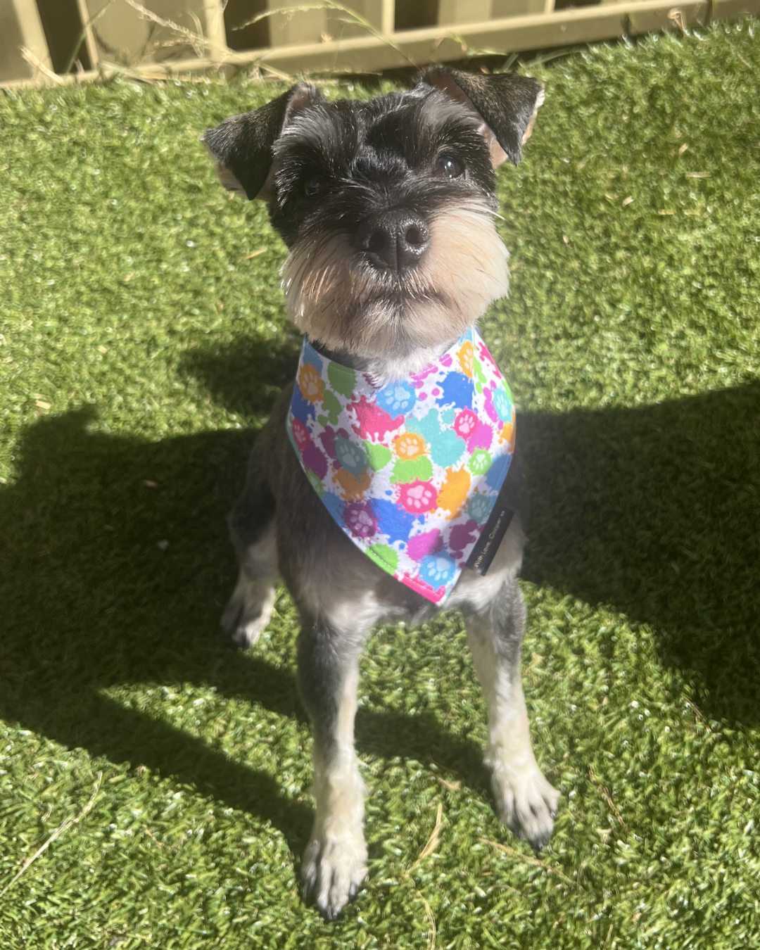 Pupcasso Artist Bandana