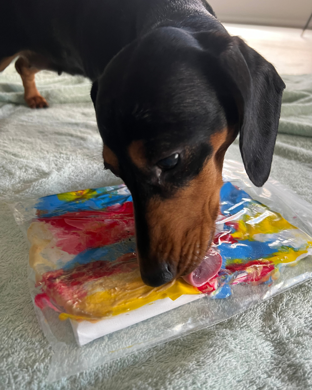 Paw-some Primary Palette Pupcasso Paint Kit