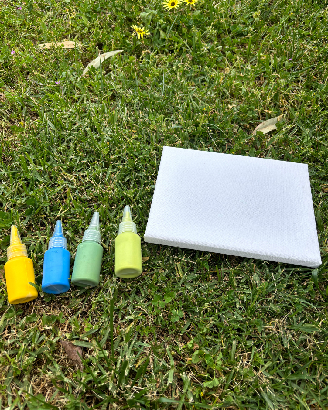 Walk in the Park Pupcasso Paint Kit