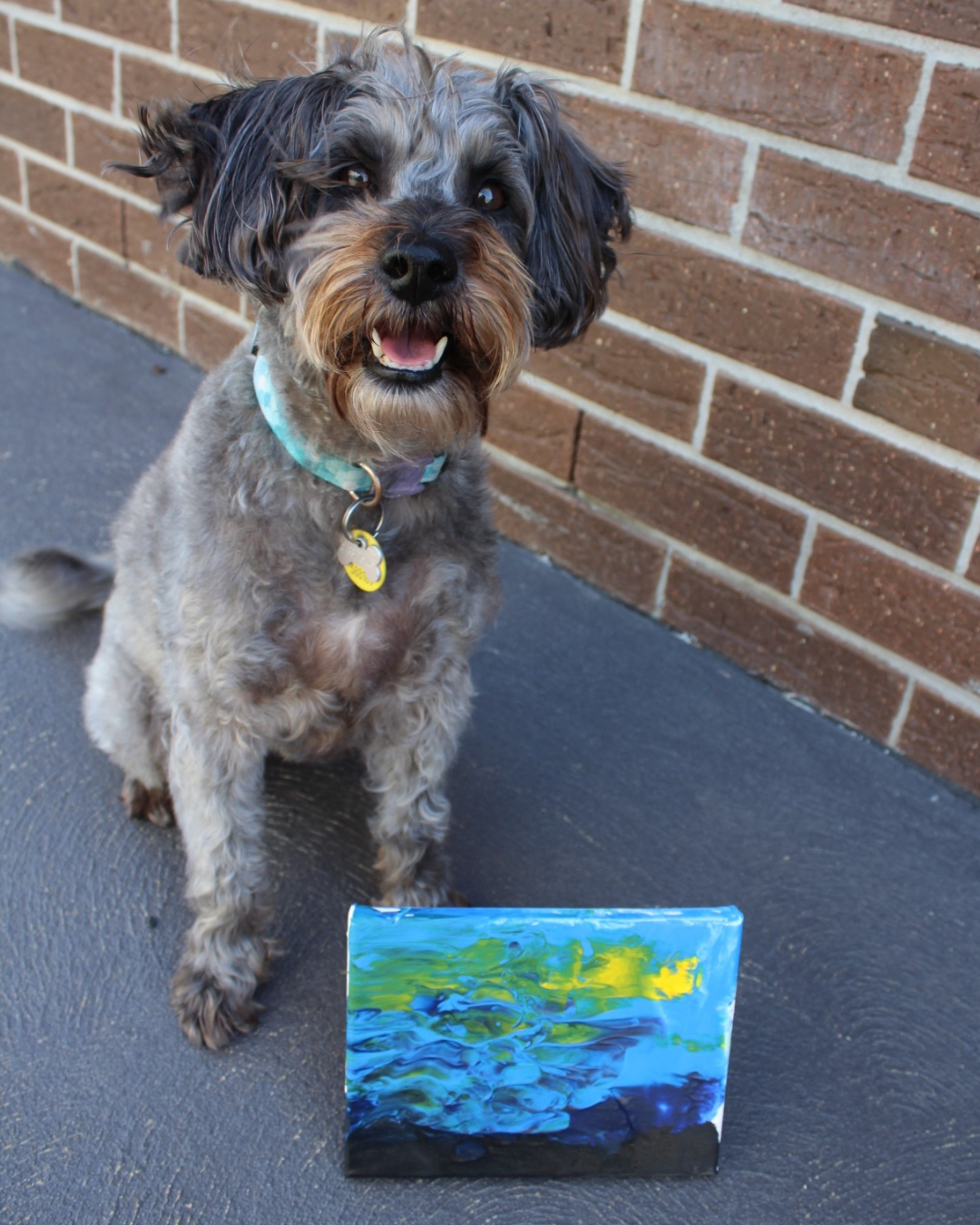 Starry Night Pupcasso Paint Kit