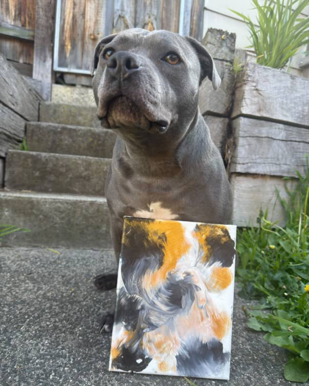 My Paw-sonal Palette Pupcasso Paint Kit