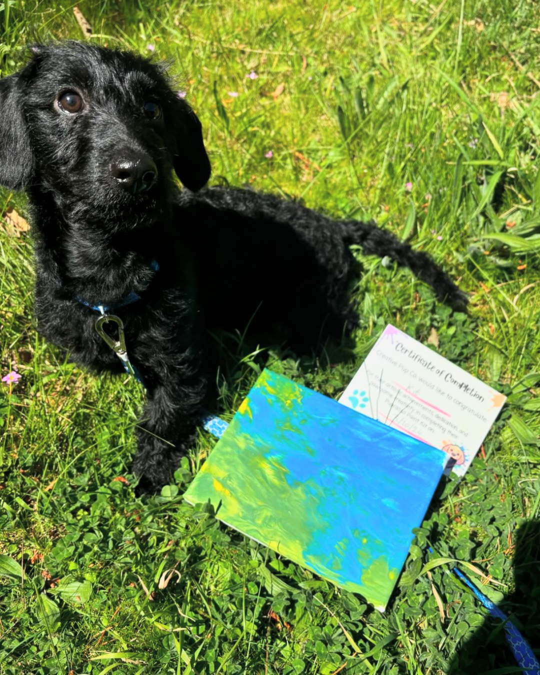 Walk in the Park Pupcasso Paint Kit