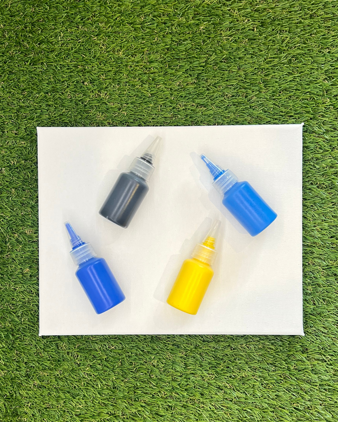 Starry Night Pupcasso Paint Kit