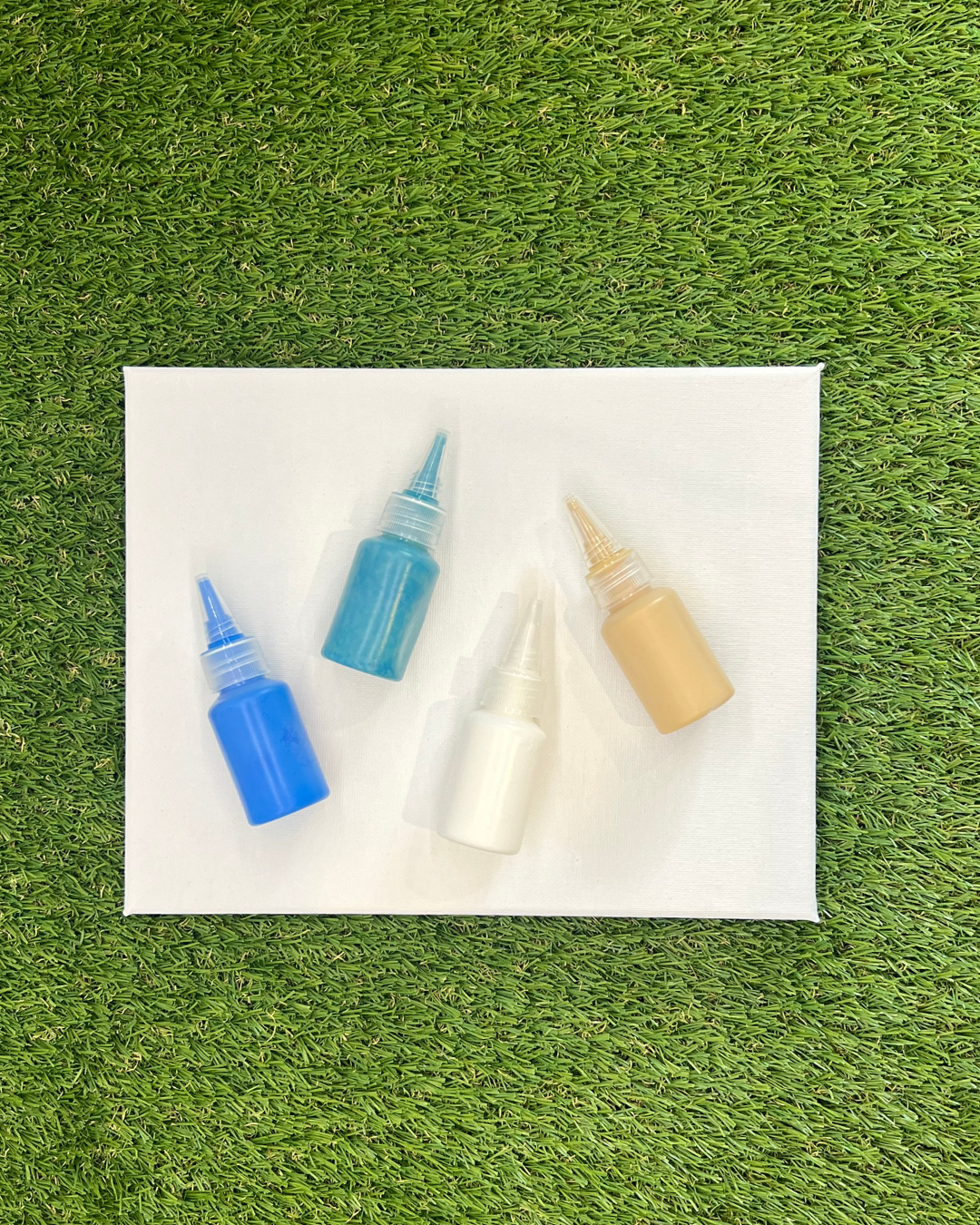 Swim at the Beach Pupcasso Paint Kit