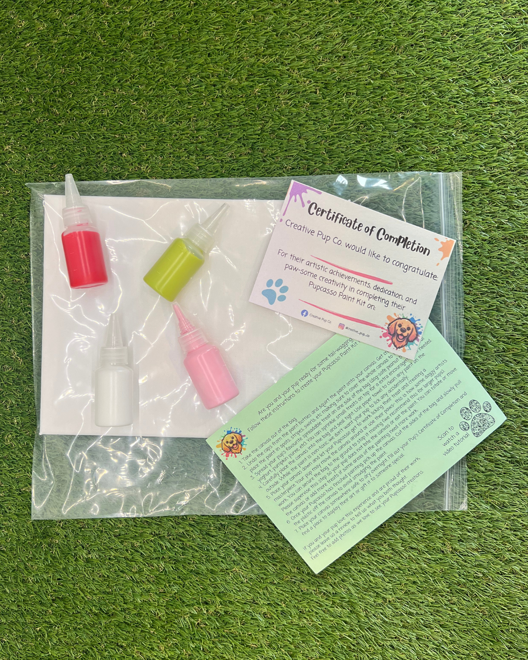 Strawberry Fields Pupcasso Paint Kit