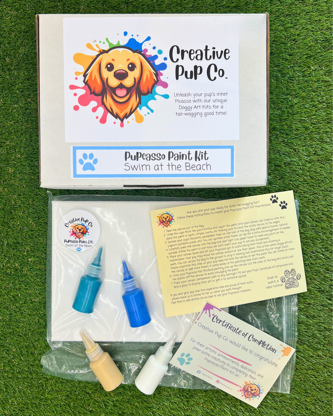 Swim at the Beach Pupcasso Paint Kit