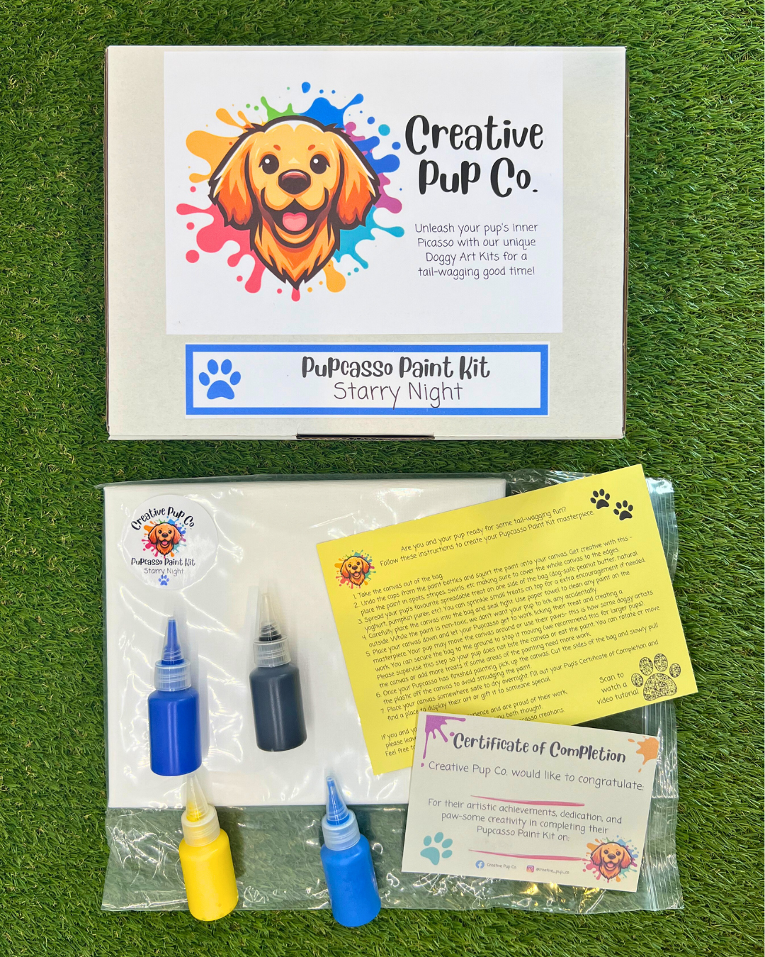 Starry Night Pupcasso Paint Kit