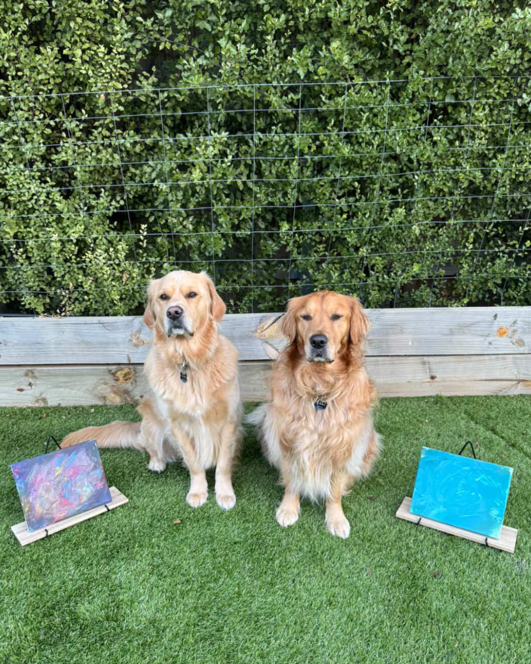 Best Fur-riends Pupcasso Paint Kit