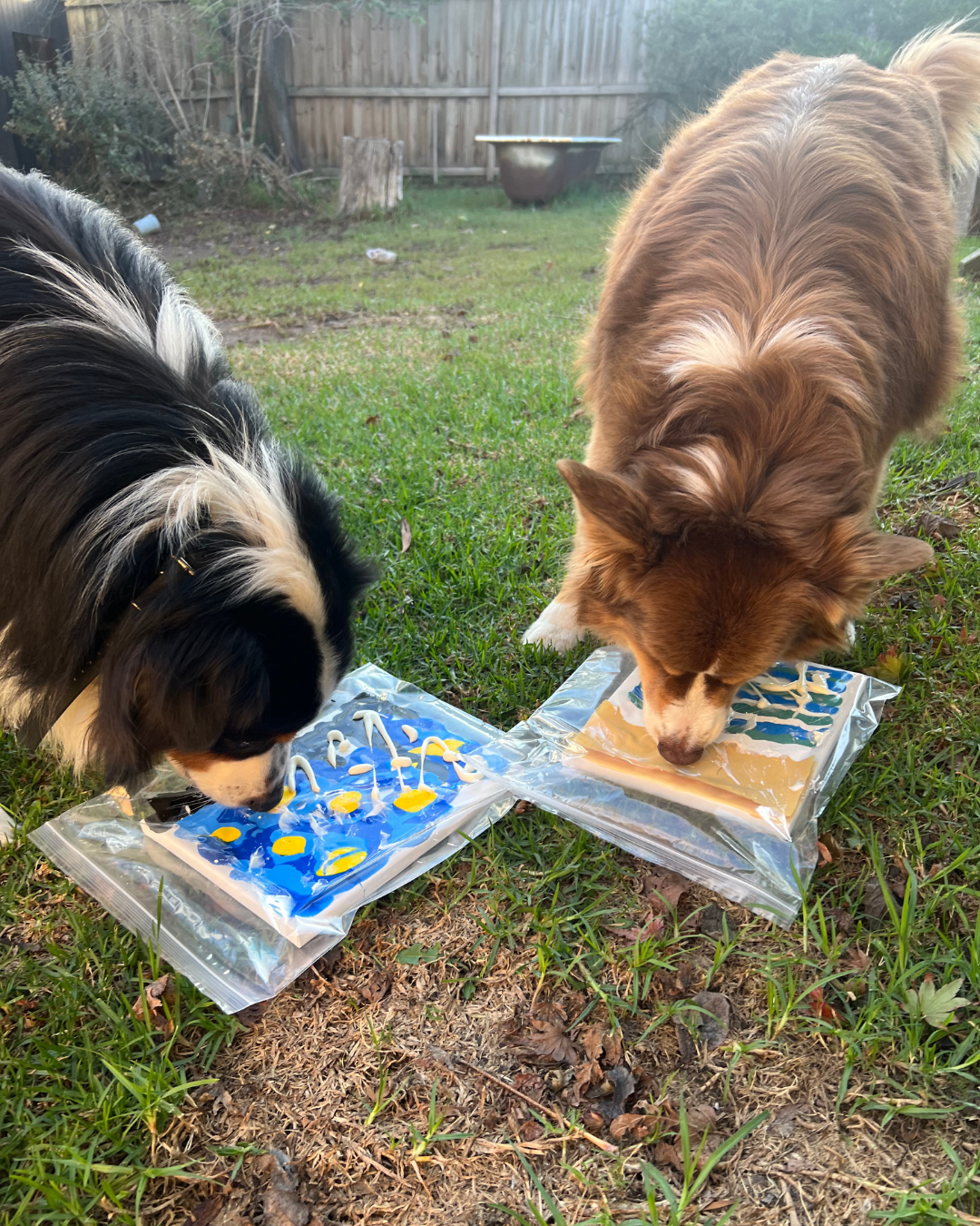 Best Fur-riends Pupcasso Paint Kit